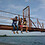Piyushi_Hinge